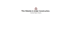 Desktop Screenshot of devkiinfotech.biz